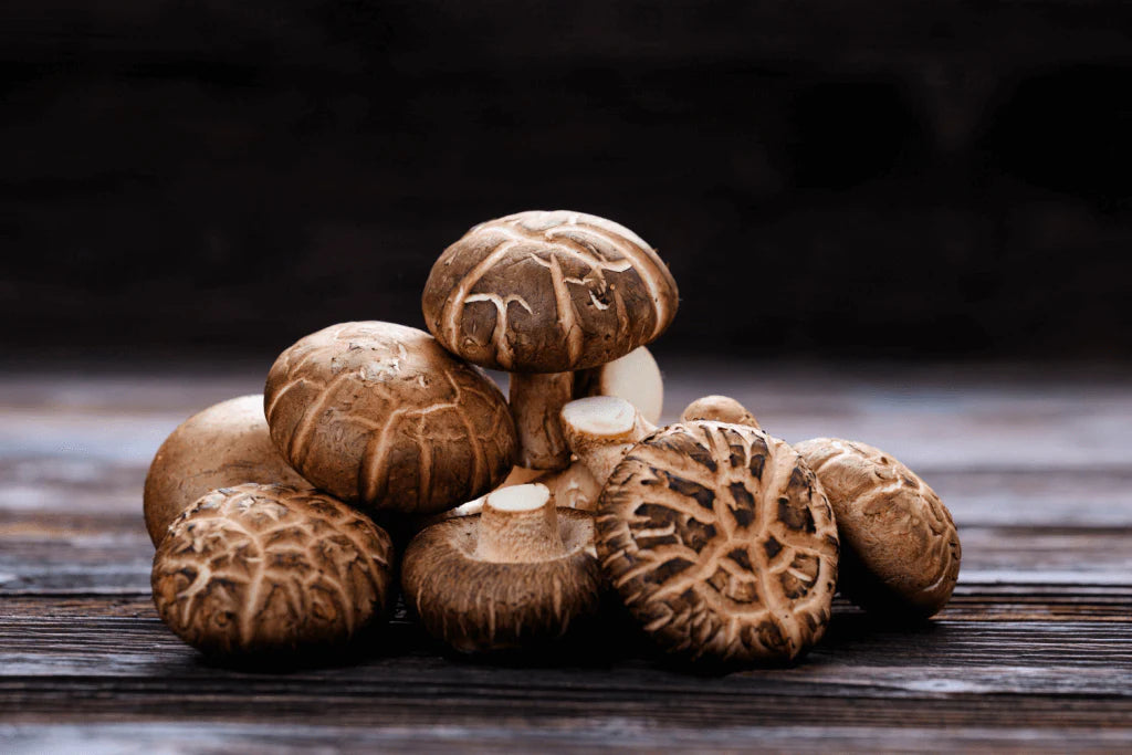 How to Grow Shiitake Mushrooms at Home: A Beginner's Guide