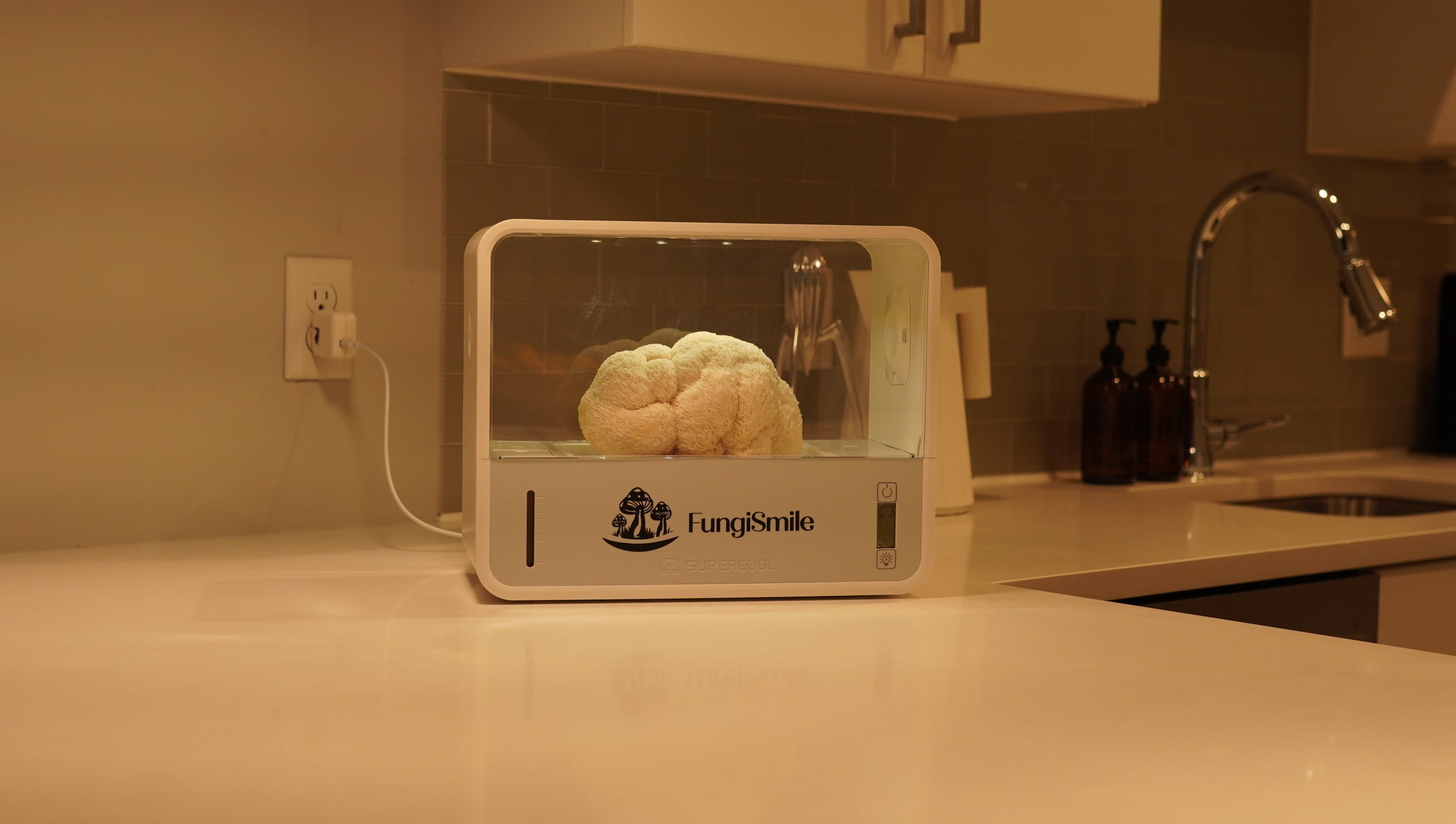 FungiSmile Smart Kit – Mushrooms Made Easy!