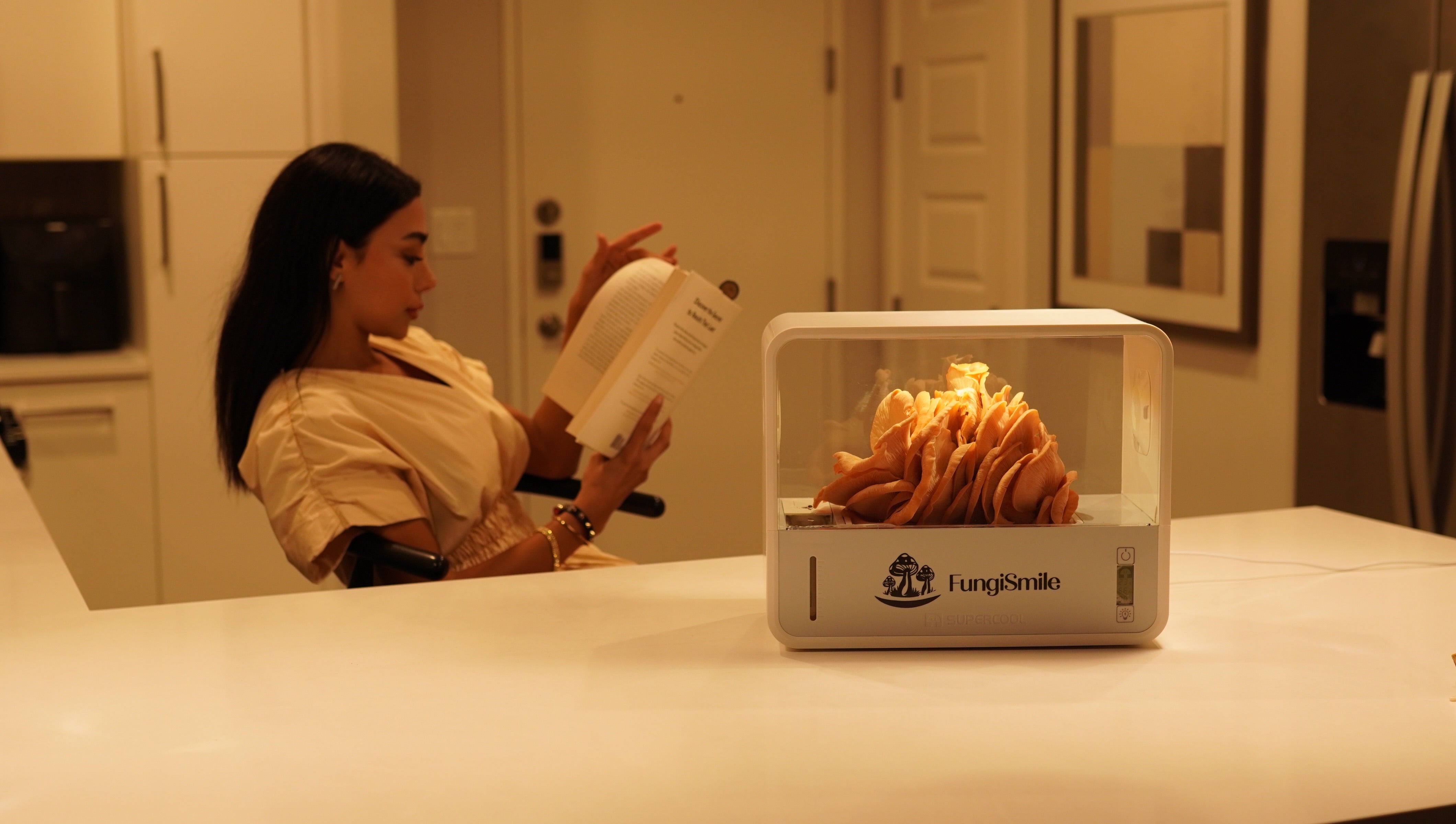 FungiSmile Smart Kit – Mushrooms Made Easy!