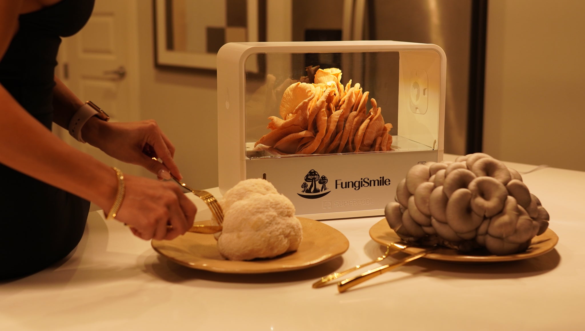 FungiSmile Smart Kit – Mushrooms Made Easy!