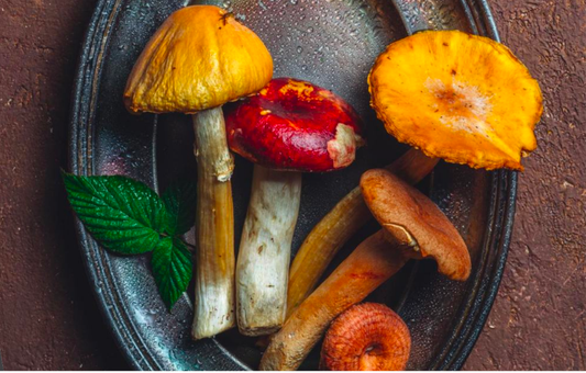 5 Delicious Mushroom Recipes to Elevate Your Cooking