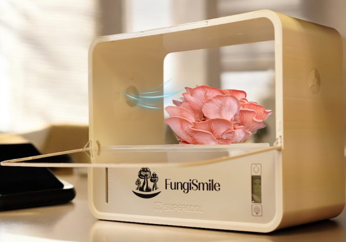 Growing Mushrooms Like a Pro: Why You Need the FungiSmile Smart Box