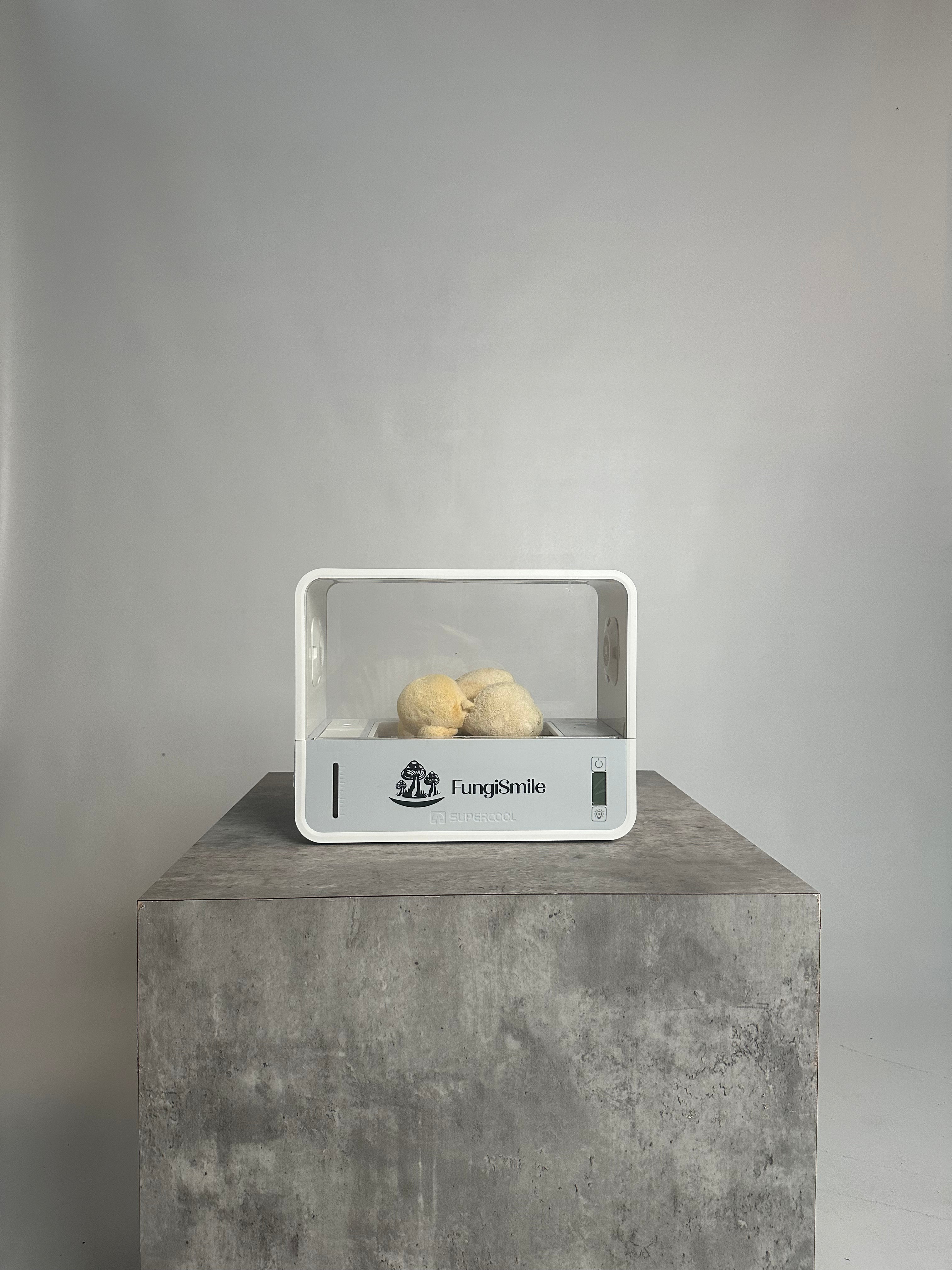 FungiSmile Smart Box – Easy Indoor Mushroom Growing Kit