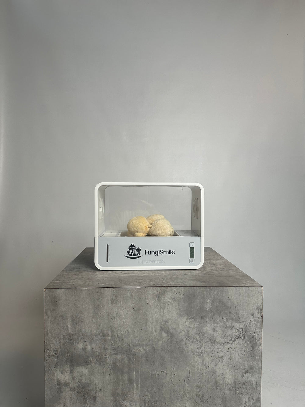 FungiSmile Smart Kit – Mushrooms Made Easy!