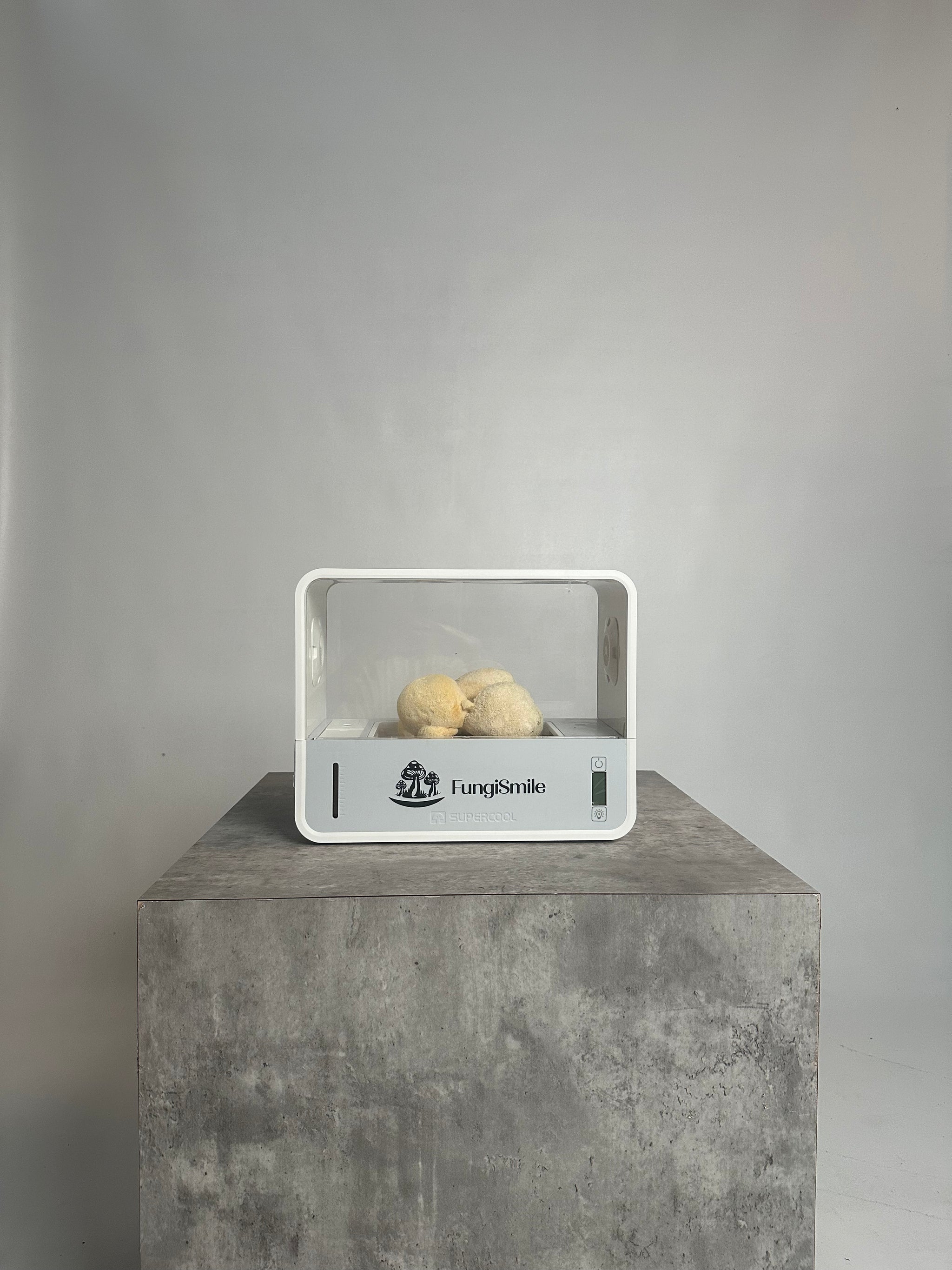 FungiSmile Smart Box – Easy Indoor Mushroom Growing Kit
