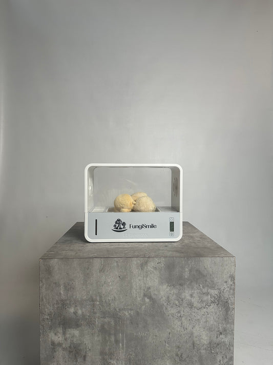 FungiSmile Smart Kit – Mushrooms Made Easy!