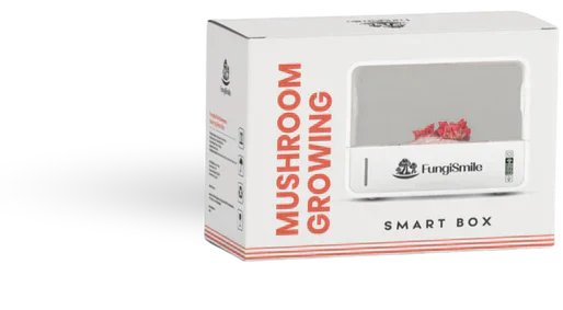 Mushroom Growing Product