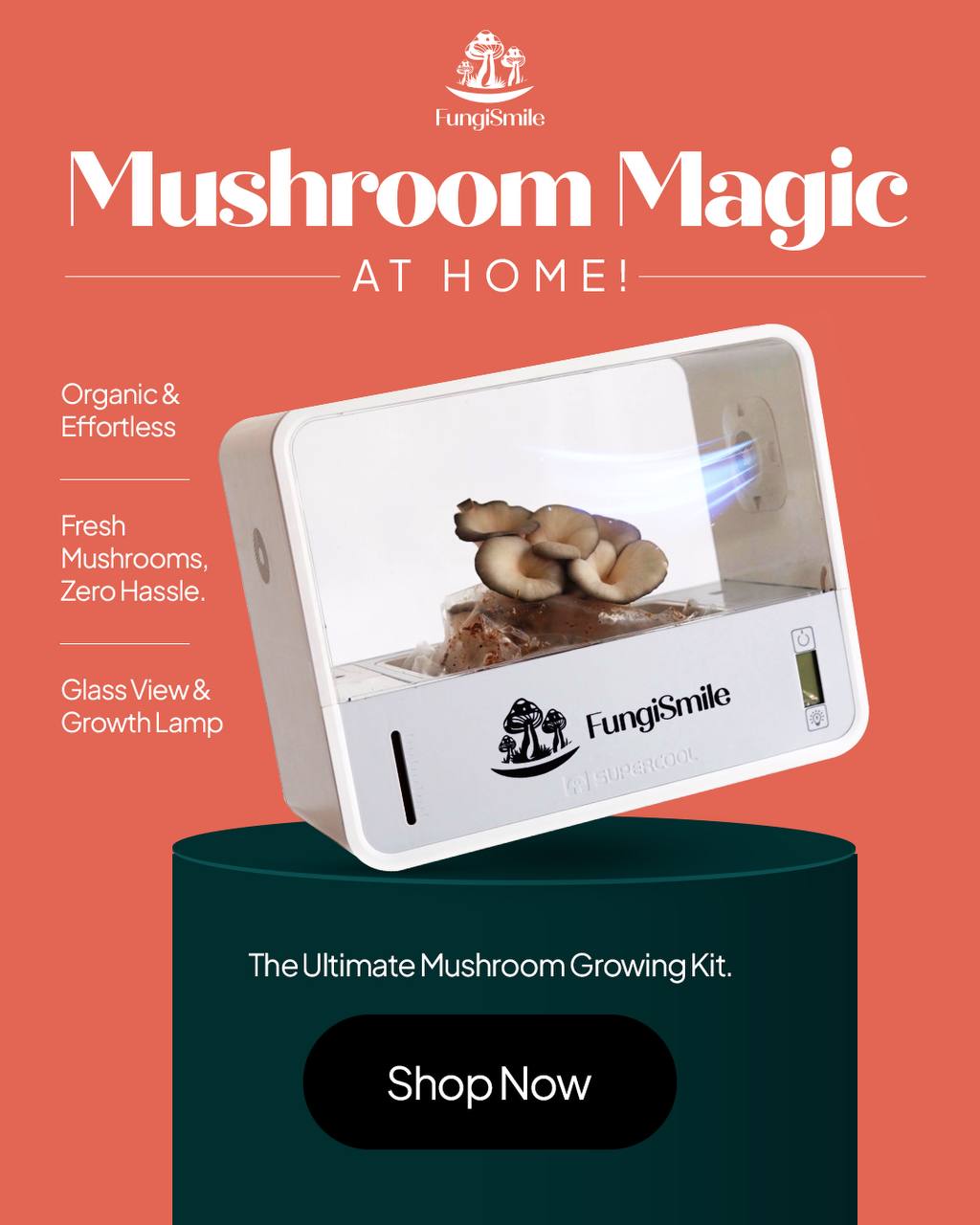 FungiSmile Smart Box – Easy Indoor Mushroom Growing Kit